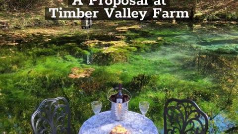 Marriage Proposal at Timber Valley Farm Wedding Venue Clear Spring Maryland