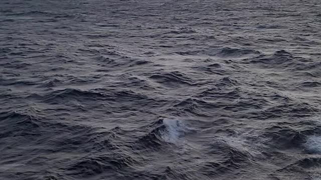 Rough seas