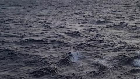 Rough seas