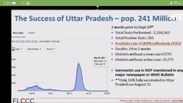 The Success of Ivermectin in India