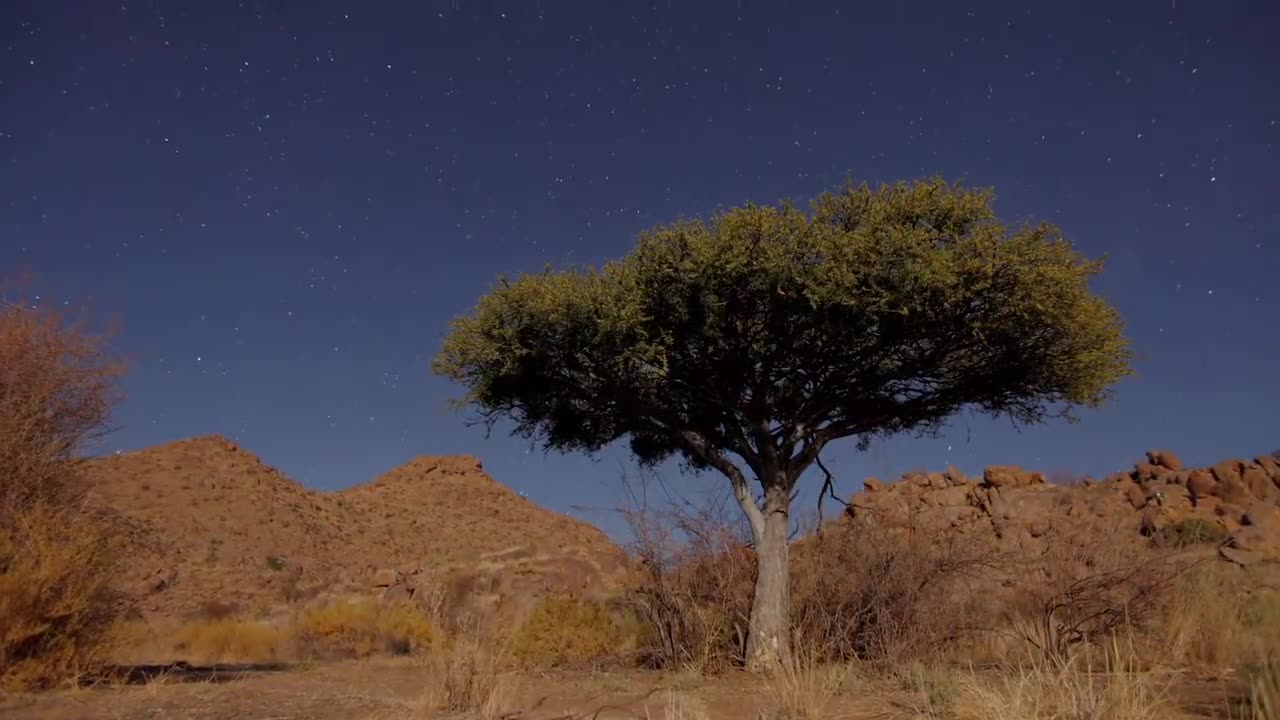 African Night Sky Timelapse Video