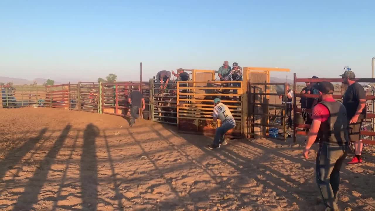 Gets Hit by a Broken Pelvis From a Bull While Riding It