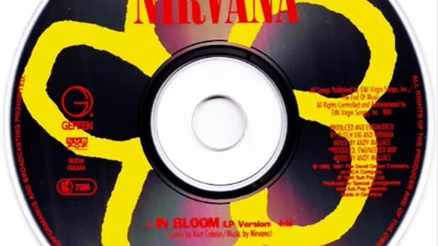 Nirvana - In Bloom
