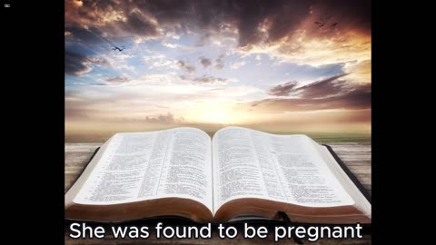 Matthew 15 - 19