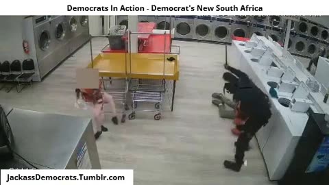 Democrats In Action - The Democrats Have Made America The New South Africa