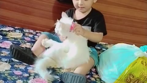 Baby playing with cute cat