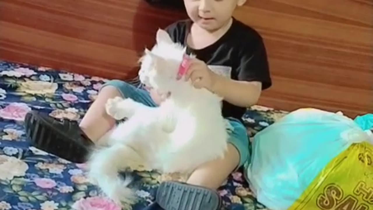 Baby playing with cute cat