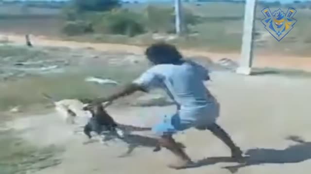 Man chasing dog funny movements