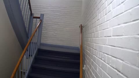3868FHOB01Stair5_2021-01-05_02h20min00s483ms.mp4