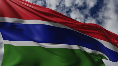 Flag of Gambia