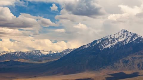 Magnificent Mountains, Forests