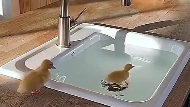 Bad day. Look at this
