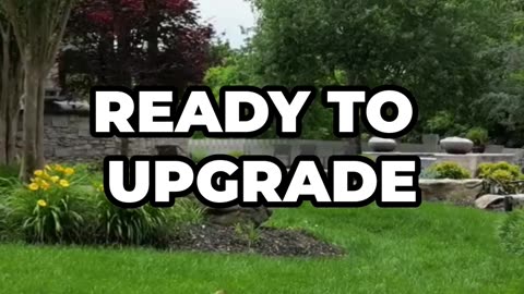 Transform Your Backyard