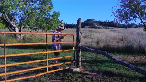 The Thing in the Tall Grass - Episode 05 - Secrets of the Barn: The Book