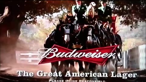 Best Budweiser Clydesdale Commercial