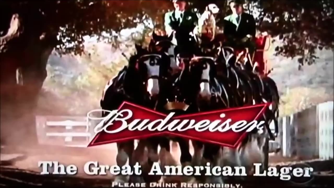 Best Budweiser Clydesdale Commercial