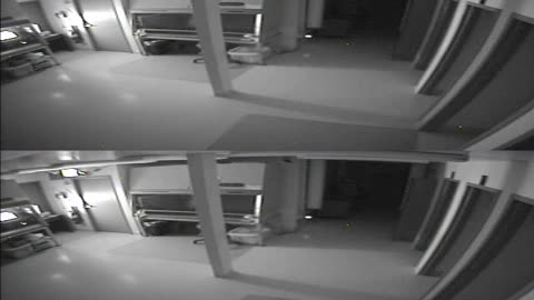1702CRIB01CribAnalysisArea_2021-01-05_03h00min00s187ms.mp4