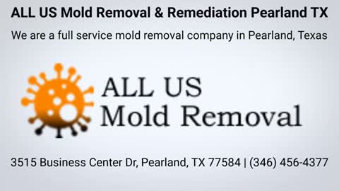 ALL US Mold Removal Company in Pearland, TX