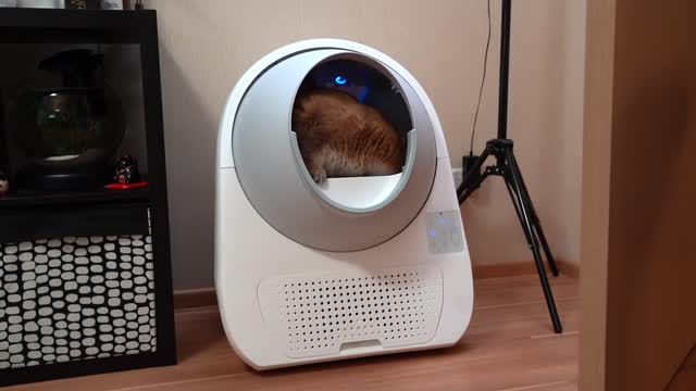 CatLink AI Litter Box - Approved by Hosico!