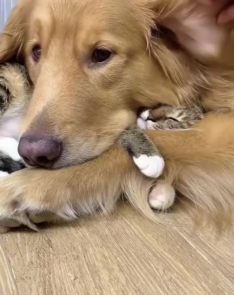 Friends do not spill water/Друганы не разлей вода