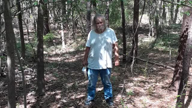 GODS ENDTIME CORRECTION IN PINEYWOODS