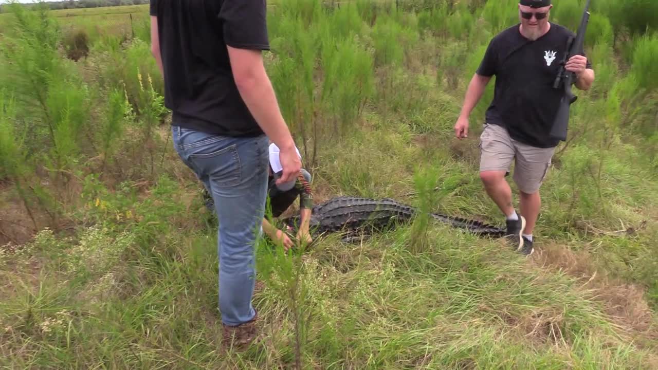 Anderson Acres Adventures - Alligator Pt 2