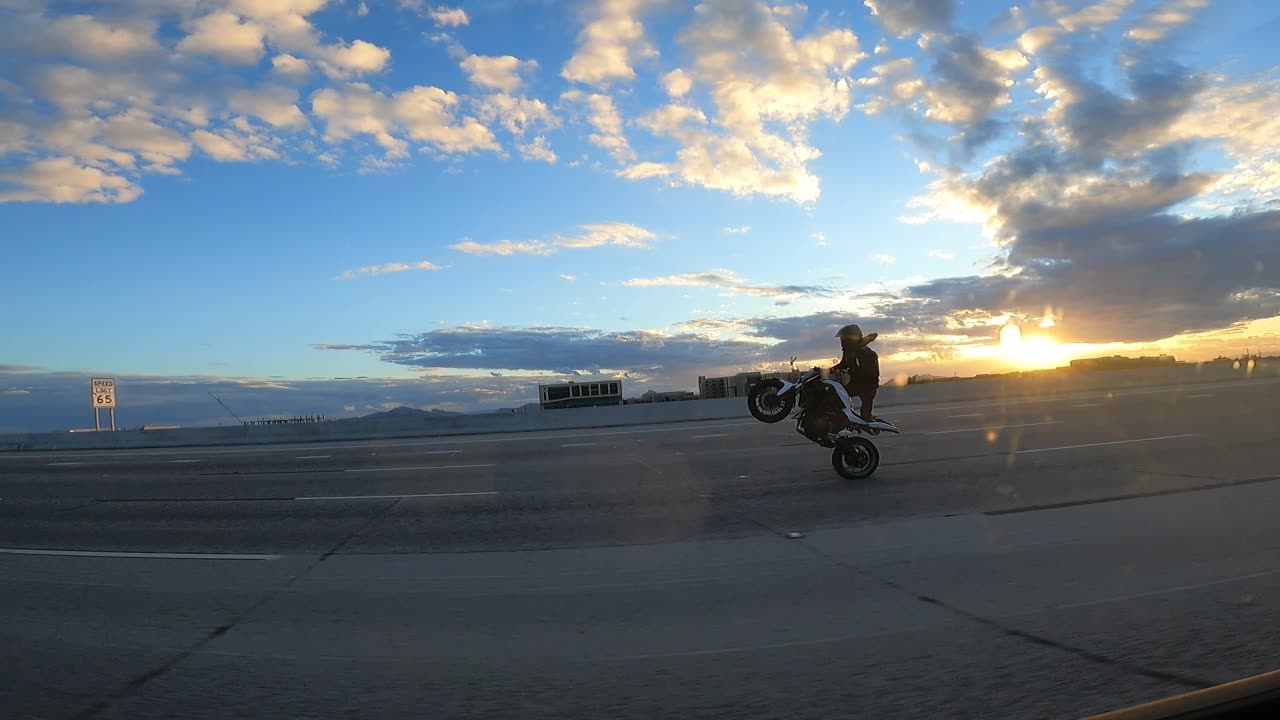 Rando Phoenix Stunter