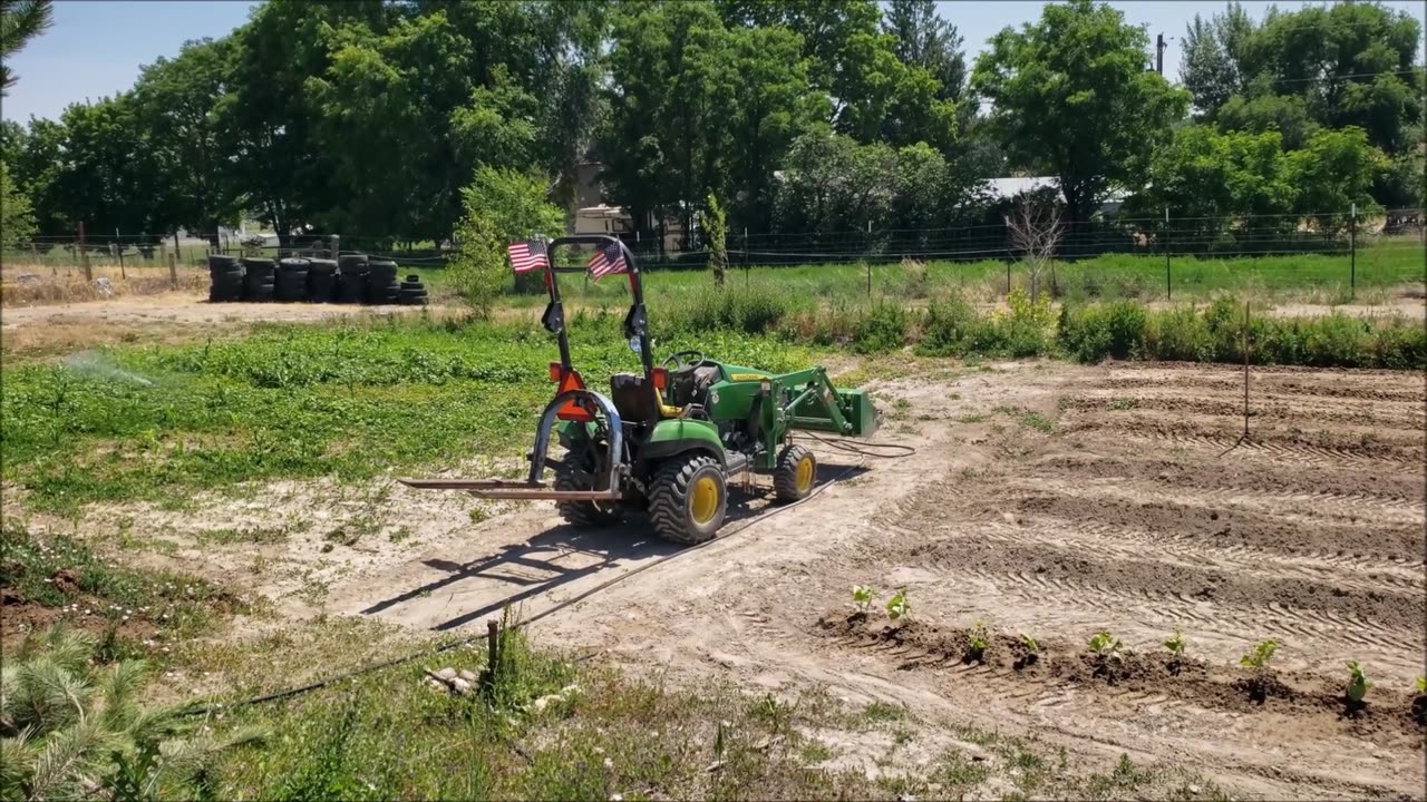 Graham Family Farm: More Plants for the Garden