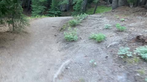 Central Oregon - Three Sisters Wilderness - Glacial Runoff Gives Countless Trail Crossings