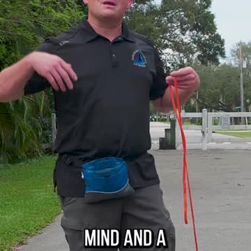 3 Tools You Need for a Perfect Walk