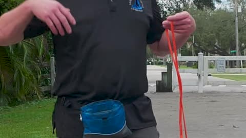 3 Tools You Need for a Perfect Walk