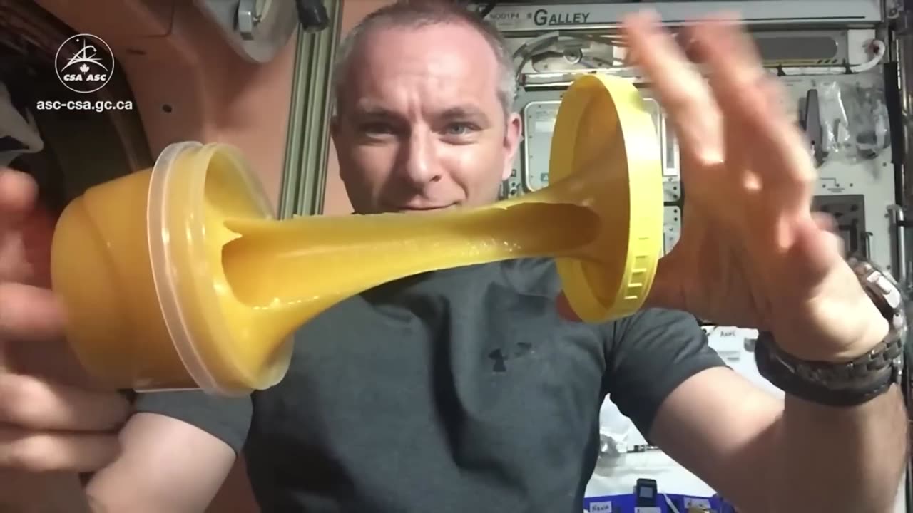 How Scientists Made Life Possible in Space