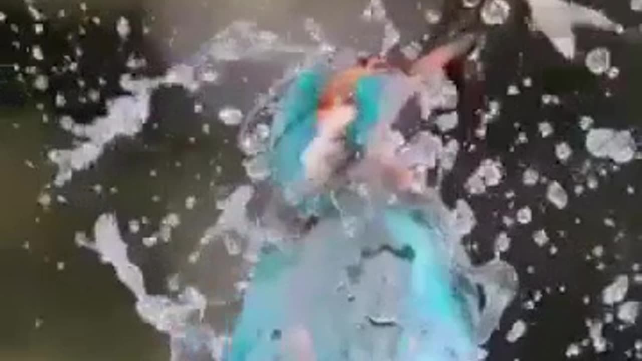 Don't Be Afraid To FAIL in Life #shorts #viral #shortsvideo #video