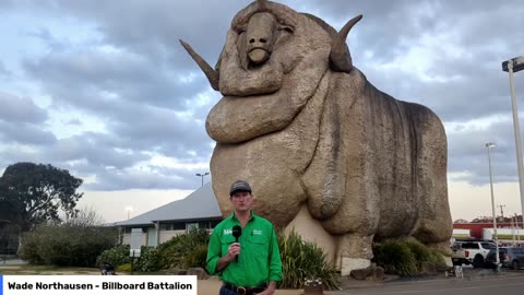 The Big Merino, Gouburn NSW - 30/9/2024