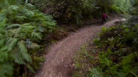 Cannock Chase Mountain Biking