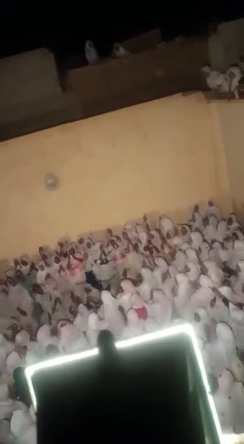 Ahwach ntfrkhin ifolkin