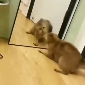 🙄🐈🙄🙄🙄🙄🐱