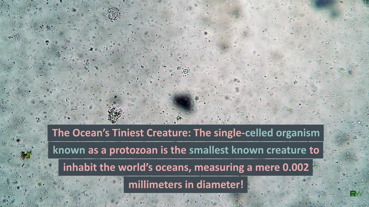 10 Nature Facts That Defy Imagination Part 2