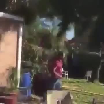 Man uses tree like elevator to get down from roof