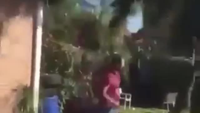 Man uses tree like elevator to get down from roof