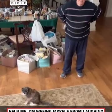Older couple looking for dog sitting on top of dining table😂
