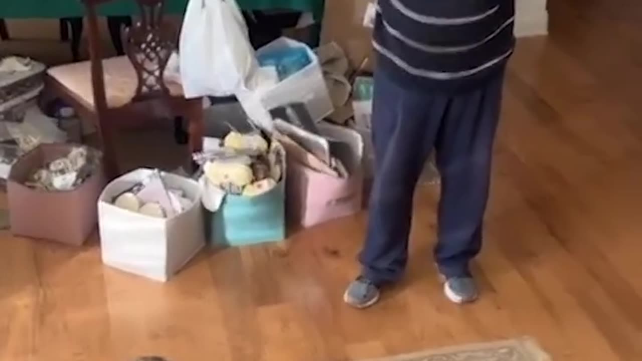 Older couple looking for dog sitting on top of dining table😂