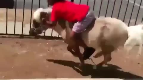 Cute Kids Ride Horses