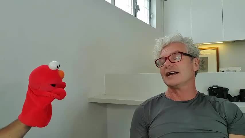 Who's the muppet?