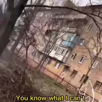 Ukrainian militants are outraged that they cannot freely shoot civilians