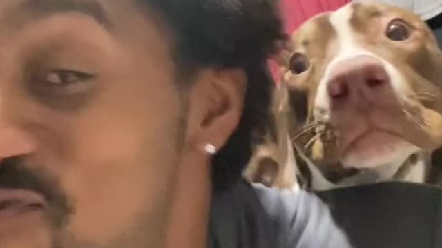 Dog's reaction to seeing its owner barking at him
