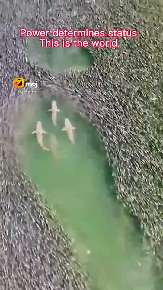 If you have the power, the way automatically becomes yours