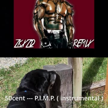 Most Used Songs of Rumble Part 1