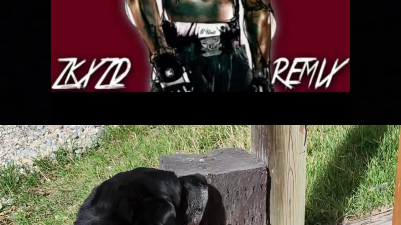 Most Used Songs of Rumble Part 1