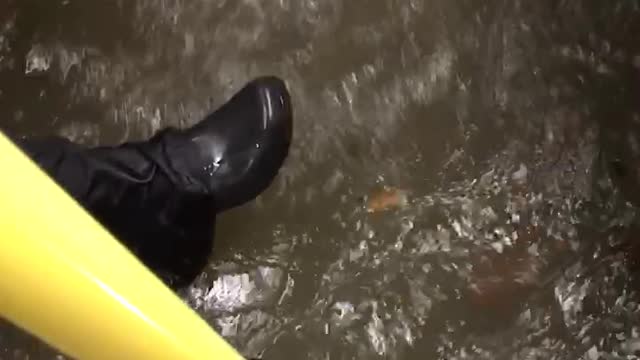 Metro Bus Floods in Houston